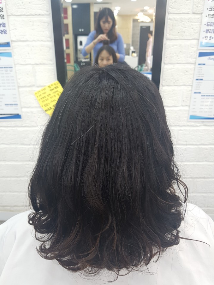 월드헤어 이미지