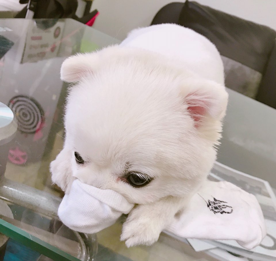 부부양말 이미지