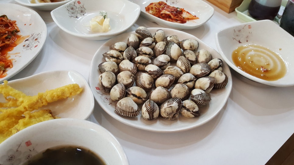 순흥애꽃 이미지