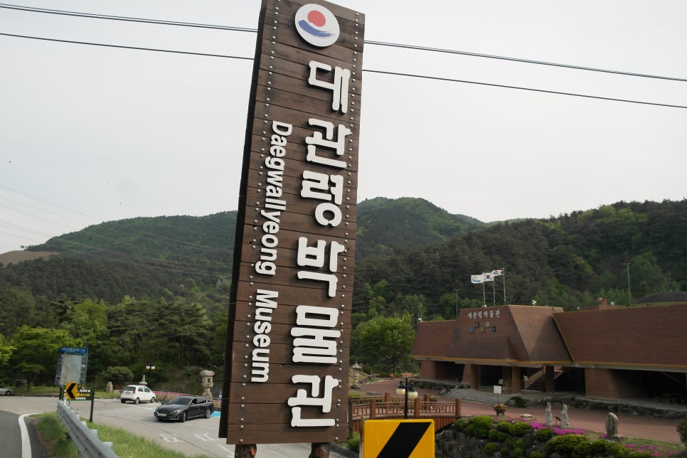 대관령 치유의 숲 이미지