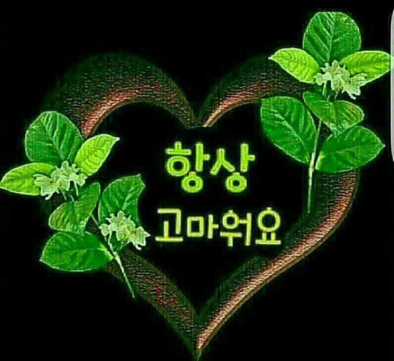 힐링노래짱 이미지