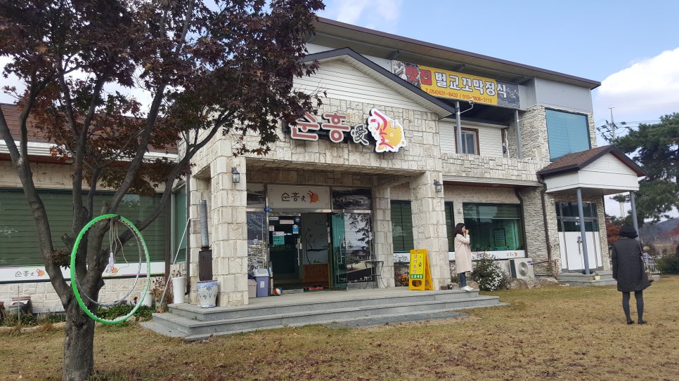 순흥애꽃 이미지