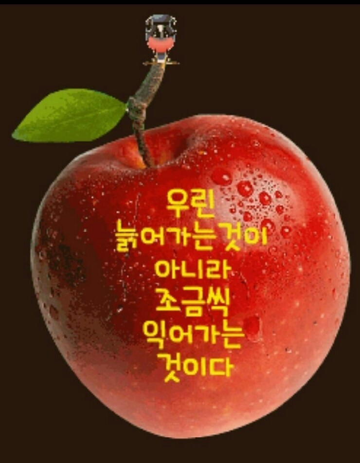 힐링노래짱 이미지