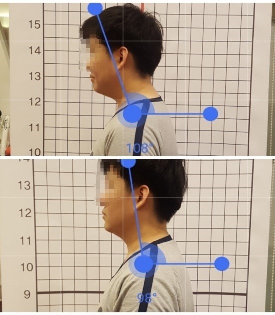 베어리핏 이미지