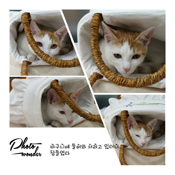 이정하갤러리 이미지