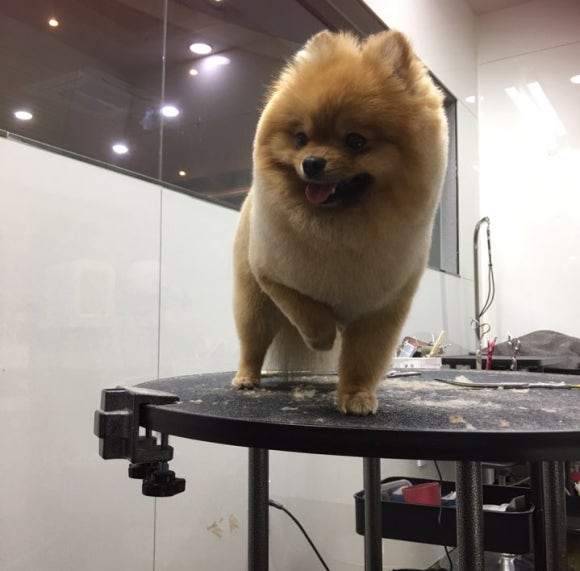살롱드레오 이미지