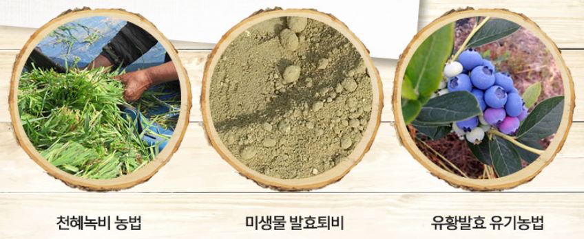 베리원 영농조합법인 이미지