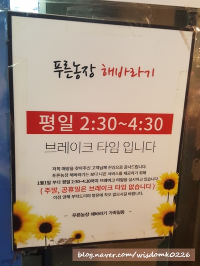 푸른농장해바라기 이미지