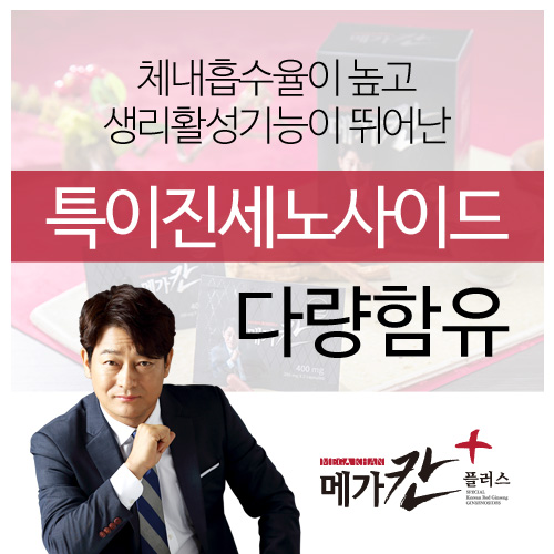 메가플러스 이미지