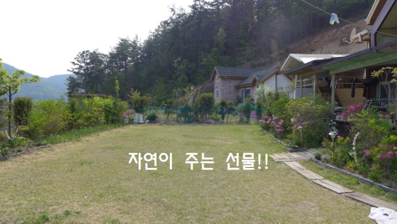 양평황토방원두막 이미지
