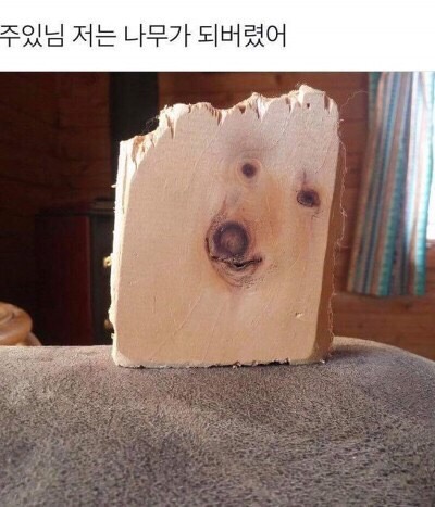 챠오챠오 이미지