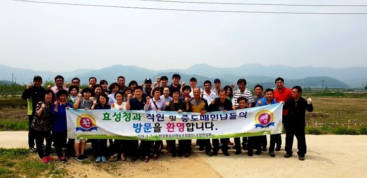 풍년청과 이미지
