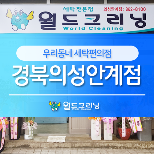 월드크리닝경북 이미지