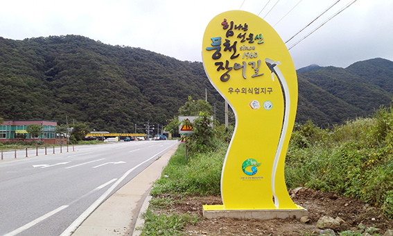풍천강장어 이미지