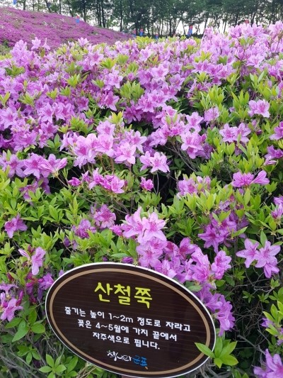 한국직업능력교육원 이미지