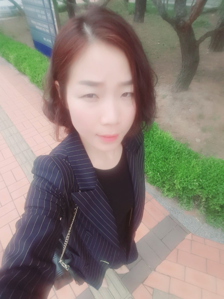 대전지방검찰청 홍성지청 이미지