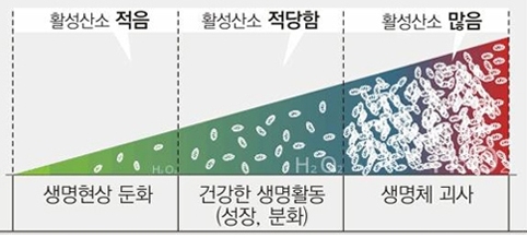 한국산소 이미지