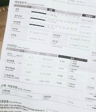 비키니짐 이미지