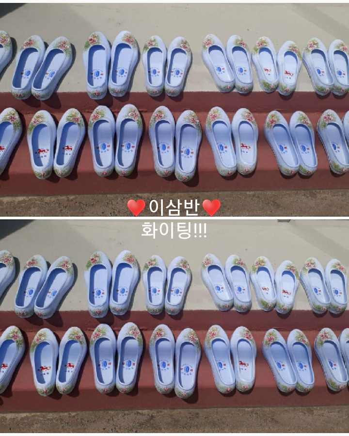 호산삼 이미지