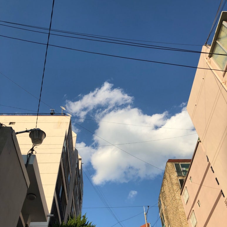 치킨신드롬하단 이미지