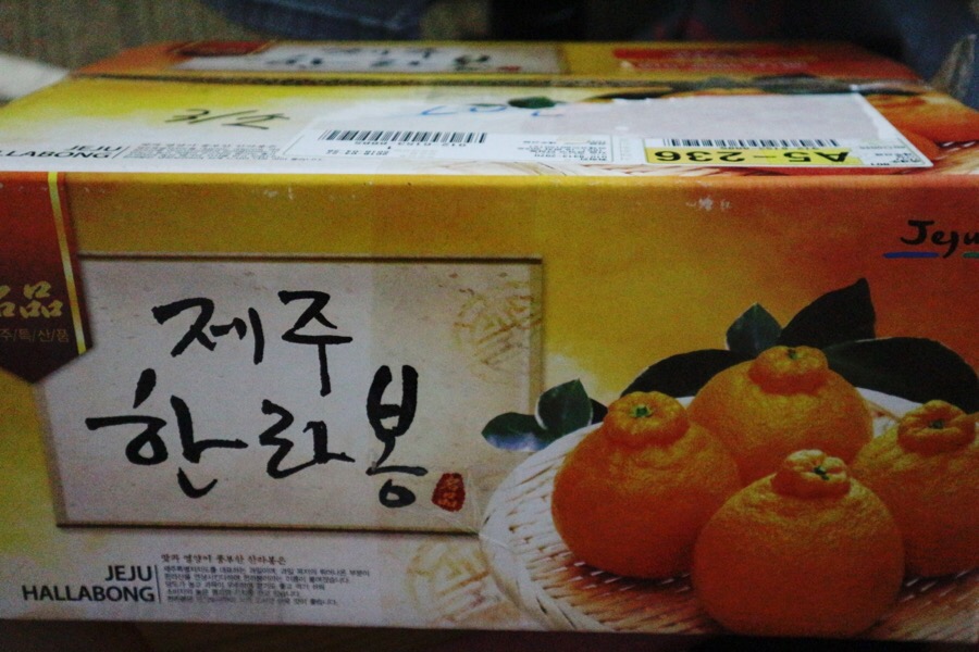제주어멍농장 이미지