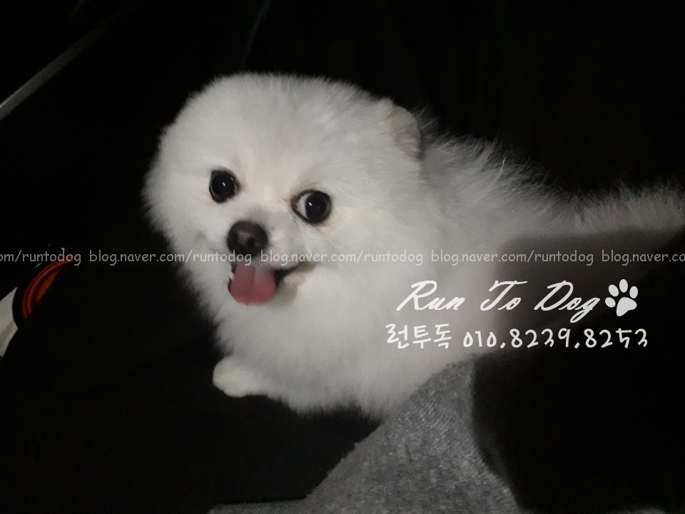 아이뚜리 이미지