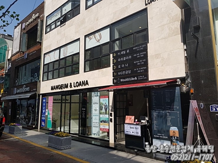 로아나 이미지