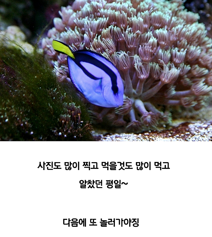 힐링월드 이미지