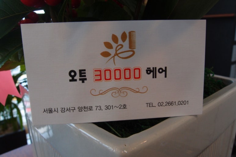 오투미용실 이미지
