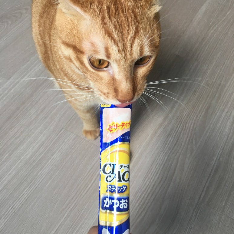 챠오챠오 이미지