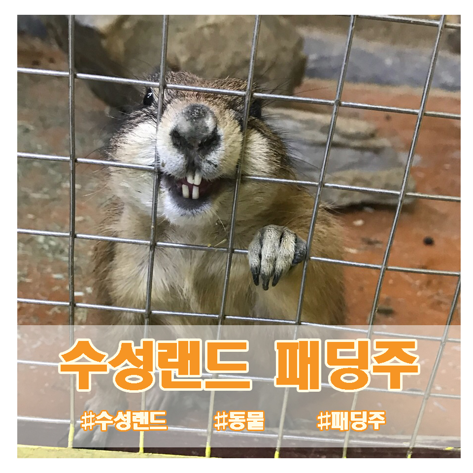 (주)수성랜드 이미지