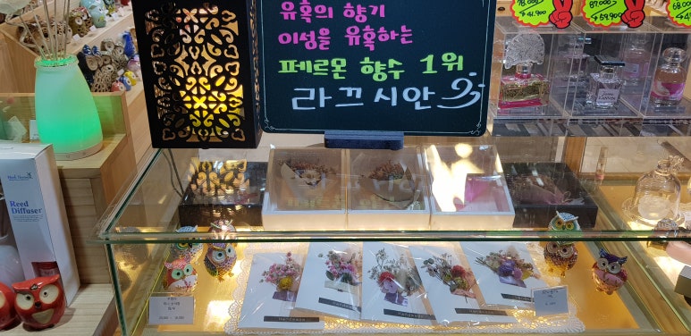 여우깍쟁이 이미지