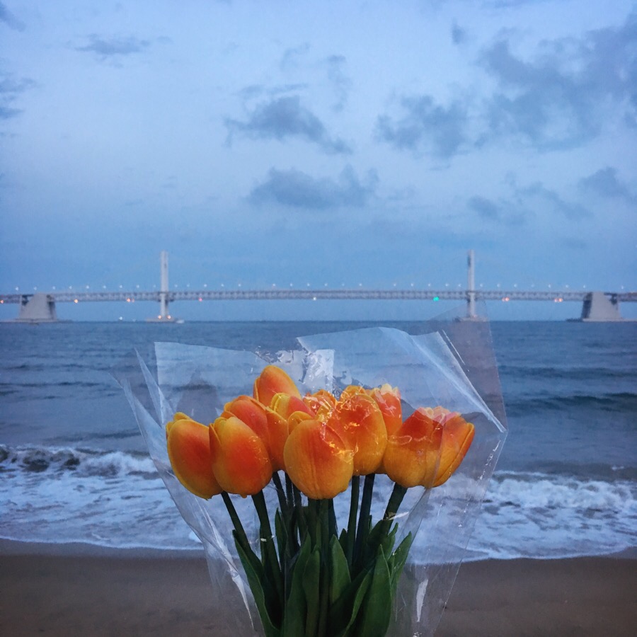 오디너리부산 이미지