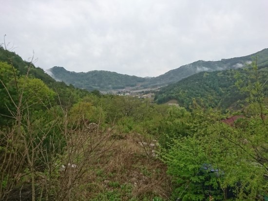 통나무밸리 이미지