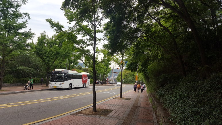 남산칼국수 이미지