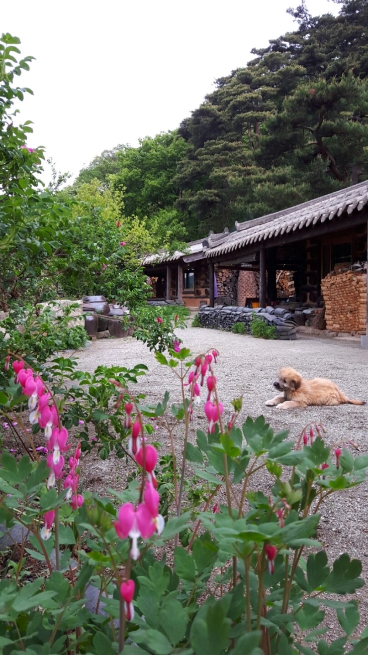 축령산휴림 이미지