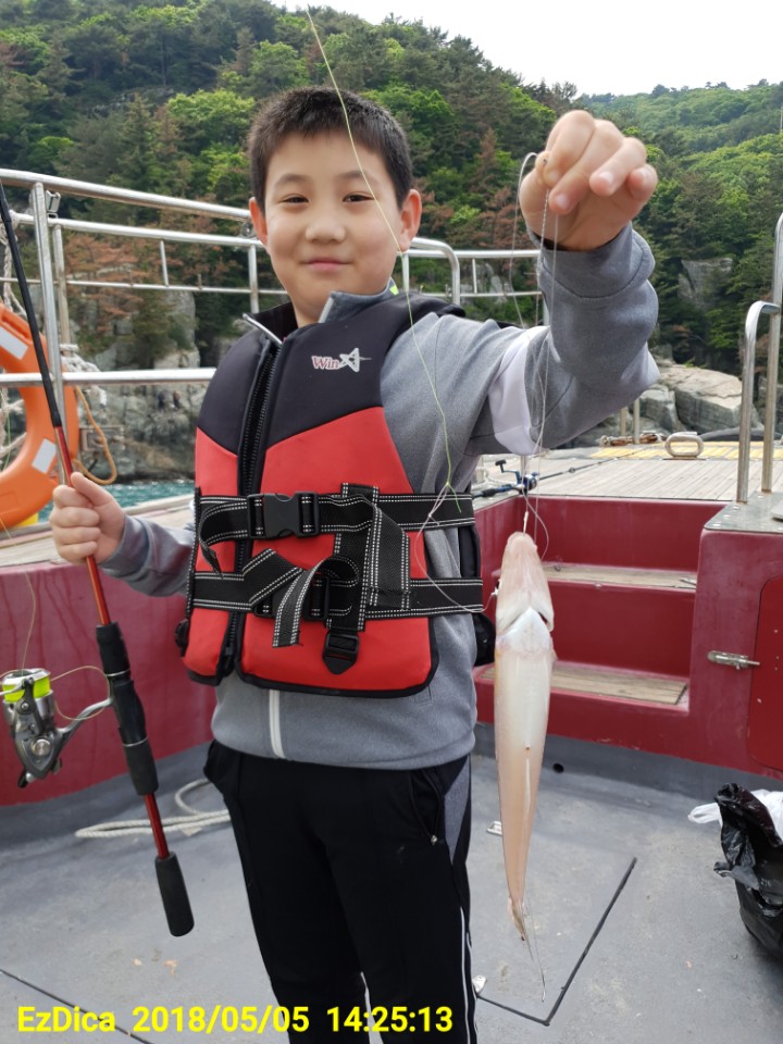 거제진선장 이미지