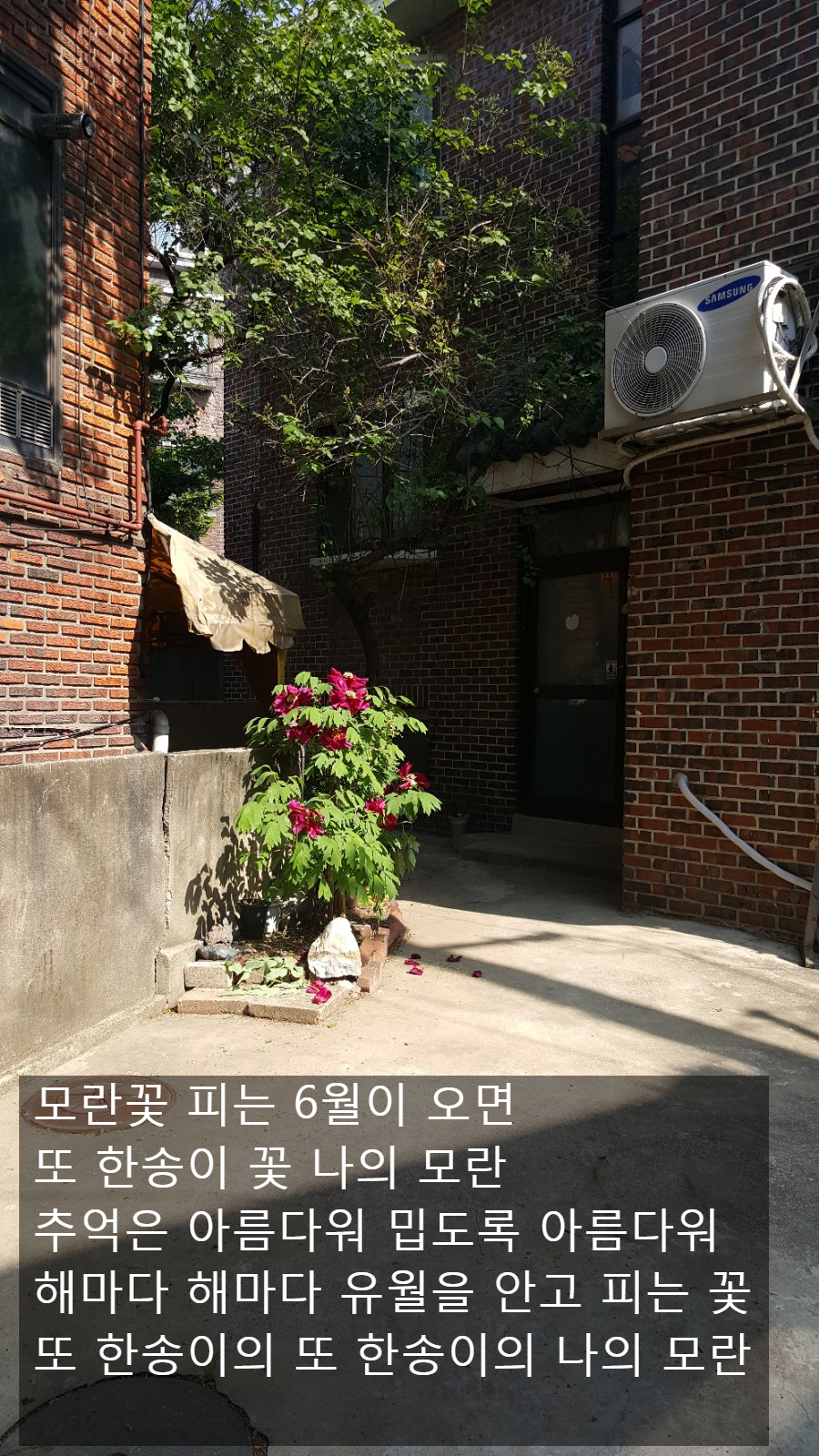 구립불광어린이집 이미지