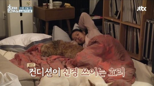 레드민박 이미지