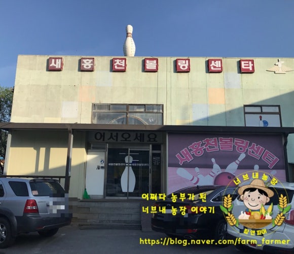 새홍천볼링장 이미지