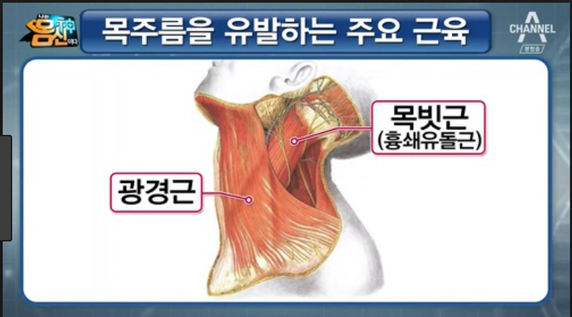 더퀸뷰티 이미지