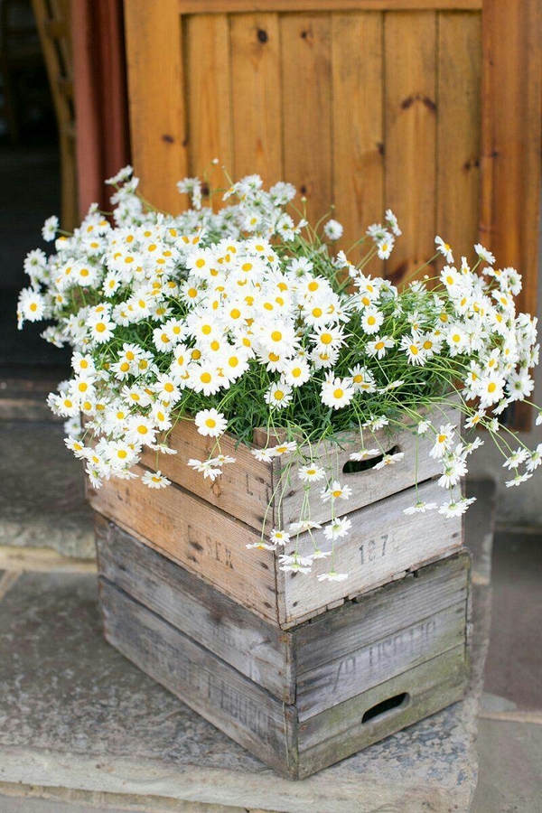 다산임대 이미지