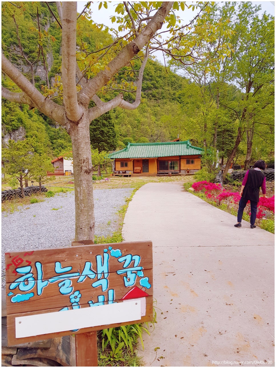 할머니횟집 이미지