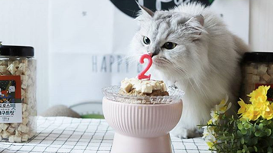 별달 이미지