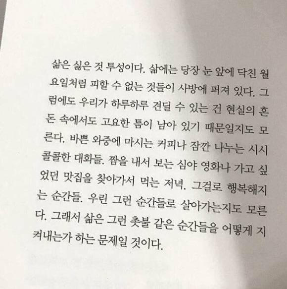 아벡데프리츠 이미지