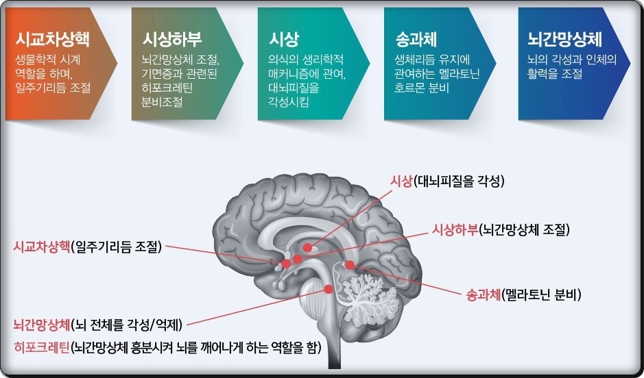 해아림한의원 이미지