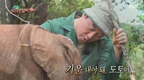 카페도토 이미지