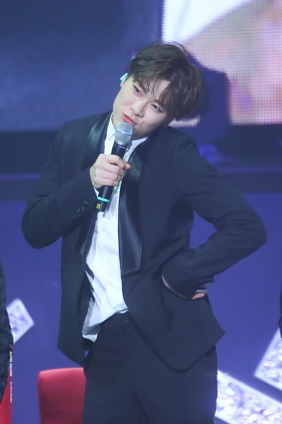 달콩이 이미지