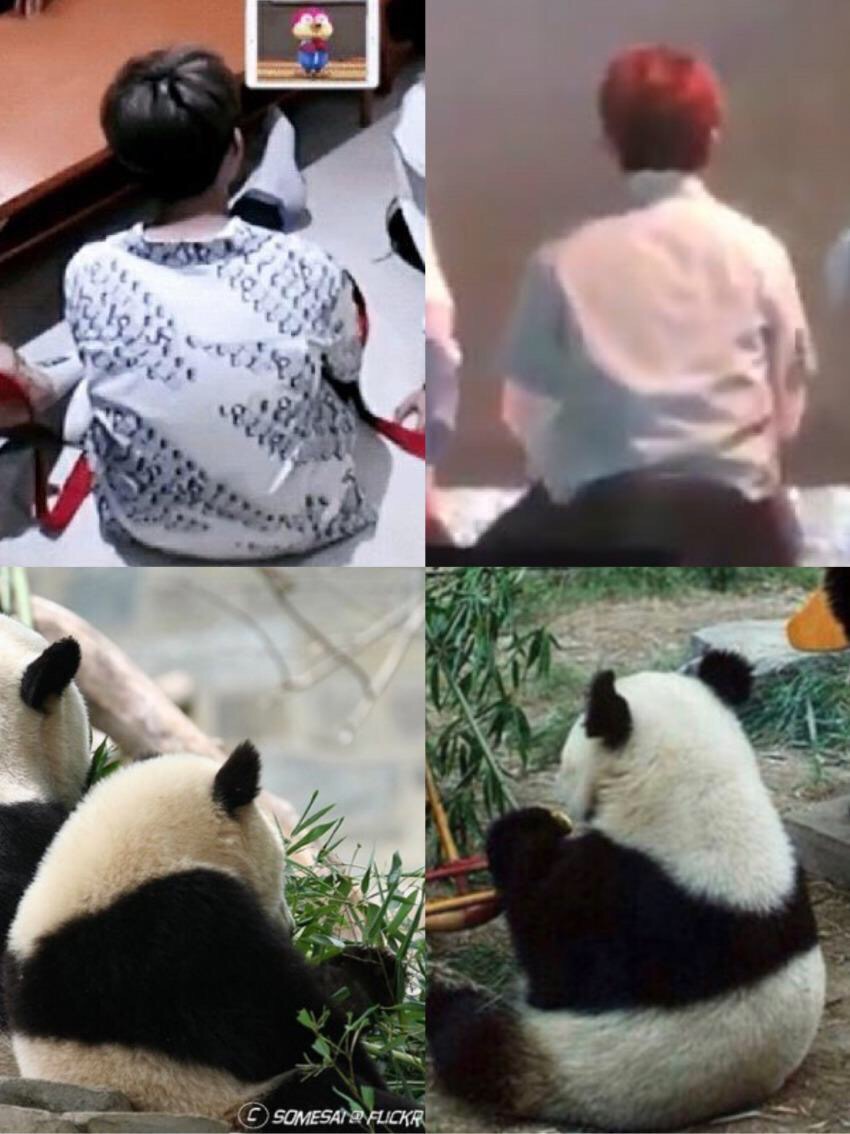 데굴데굴 이미지