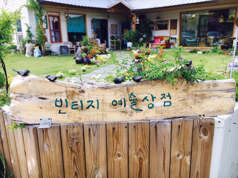 금채샵 이미지